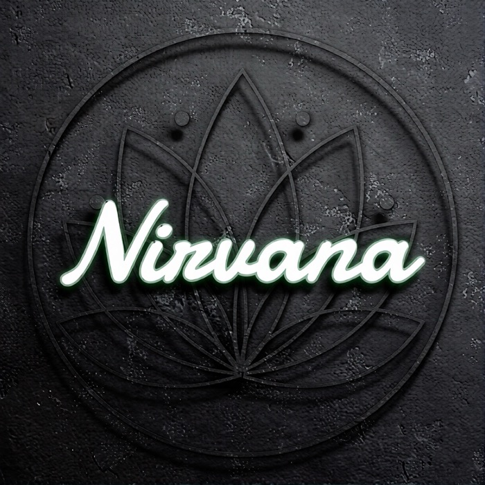 Nirvana Center Maryland logo